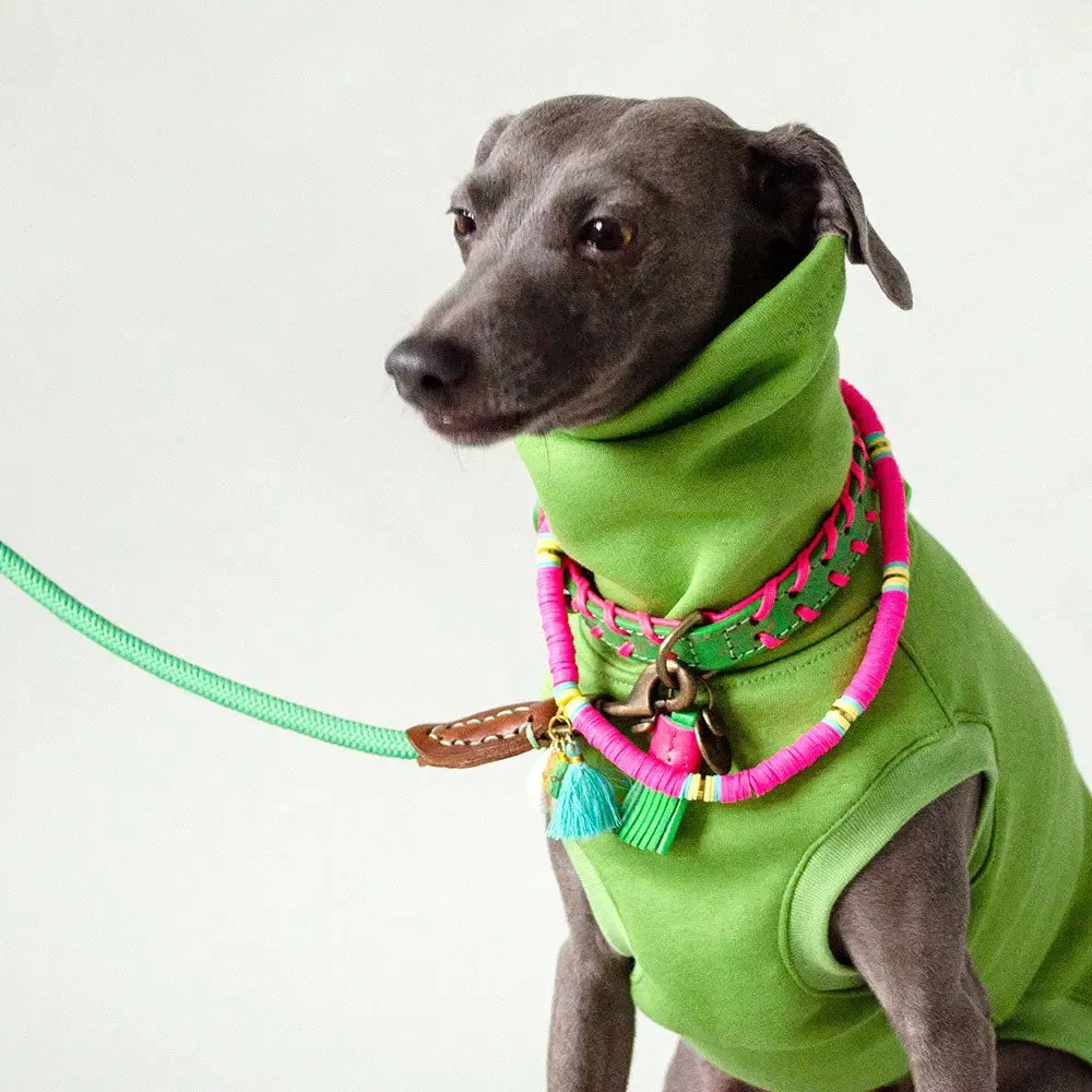 Hundehalsband im Boho Look - "ibiza lounge PETIT" - melon