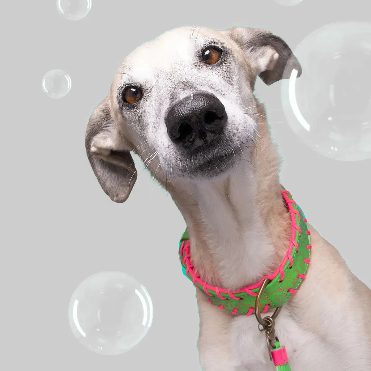 Hundehalsband im Boho Look - "ibiza lounge PETIT" - melon
