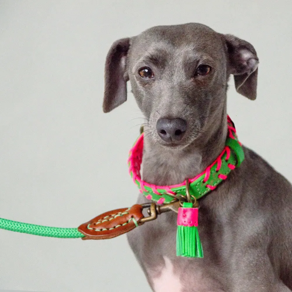 Hundehalsband im Boho Look - "ibiza lounge PETIT" - melon