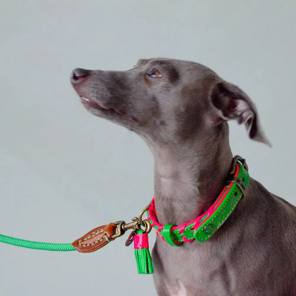 Hundehalsband im Boho Look - "ibiza lounge PETIT" - melon